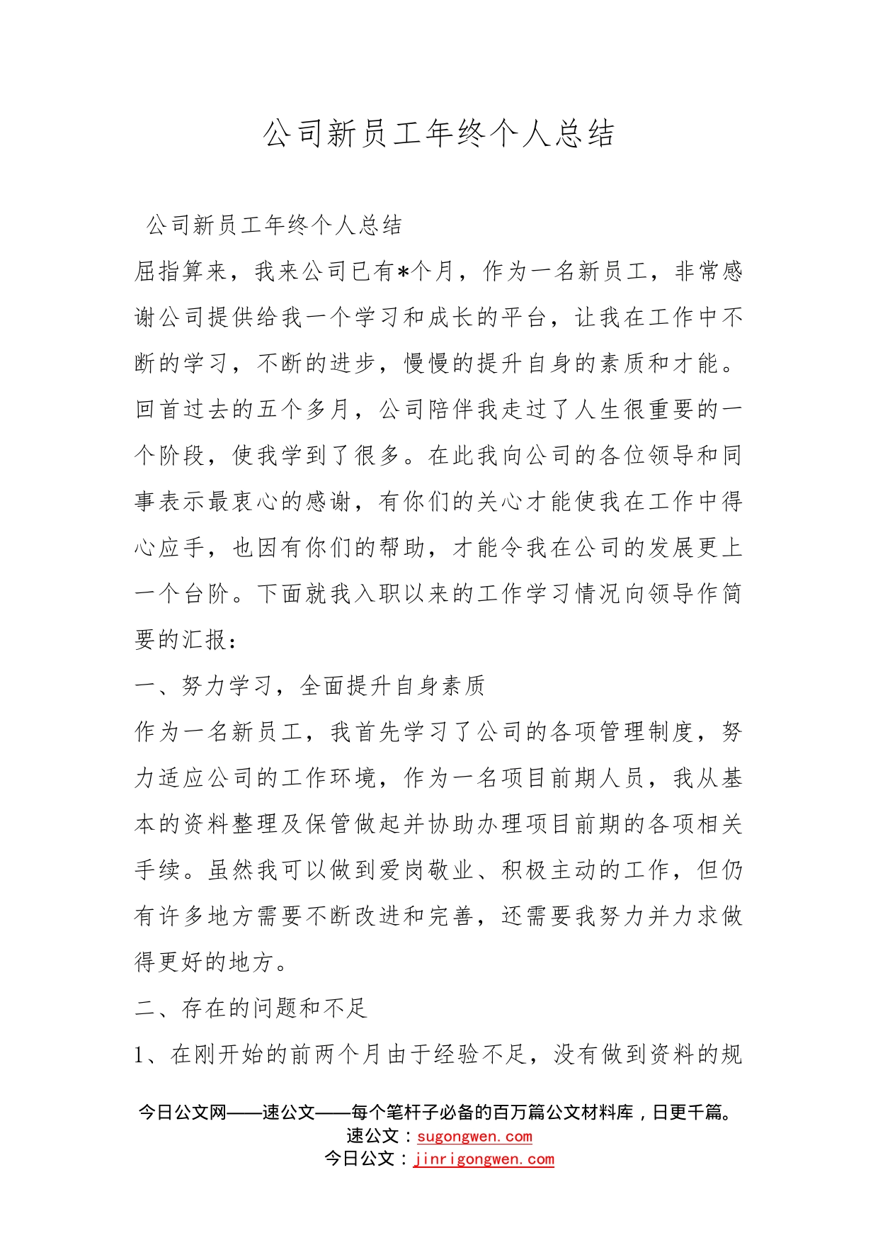 公司新员工年终个人总结_第1页