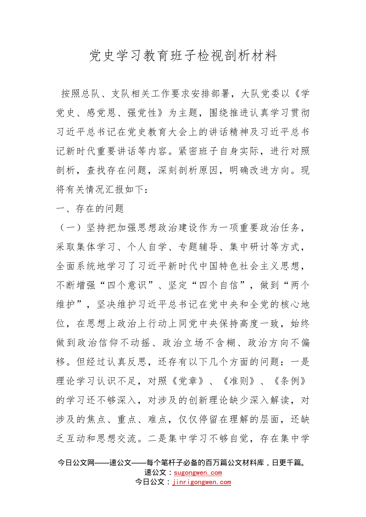 党史学习教育班子检视剖析材料_第1页