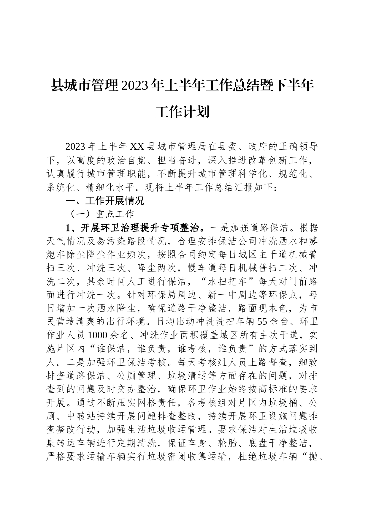 县城市管理2023年上半年工作总结暨下半年工作计划（20230614）_第1页