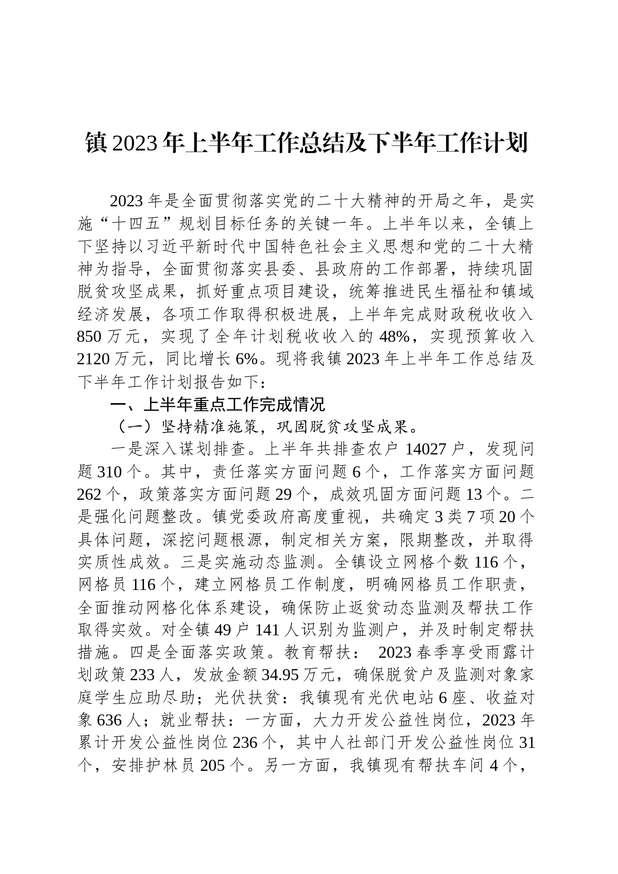 XX镇2023年上半年工作总结及下半年工作计划（20230625）_第1页