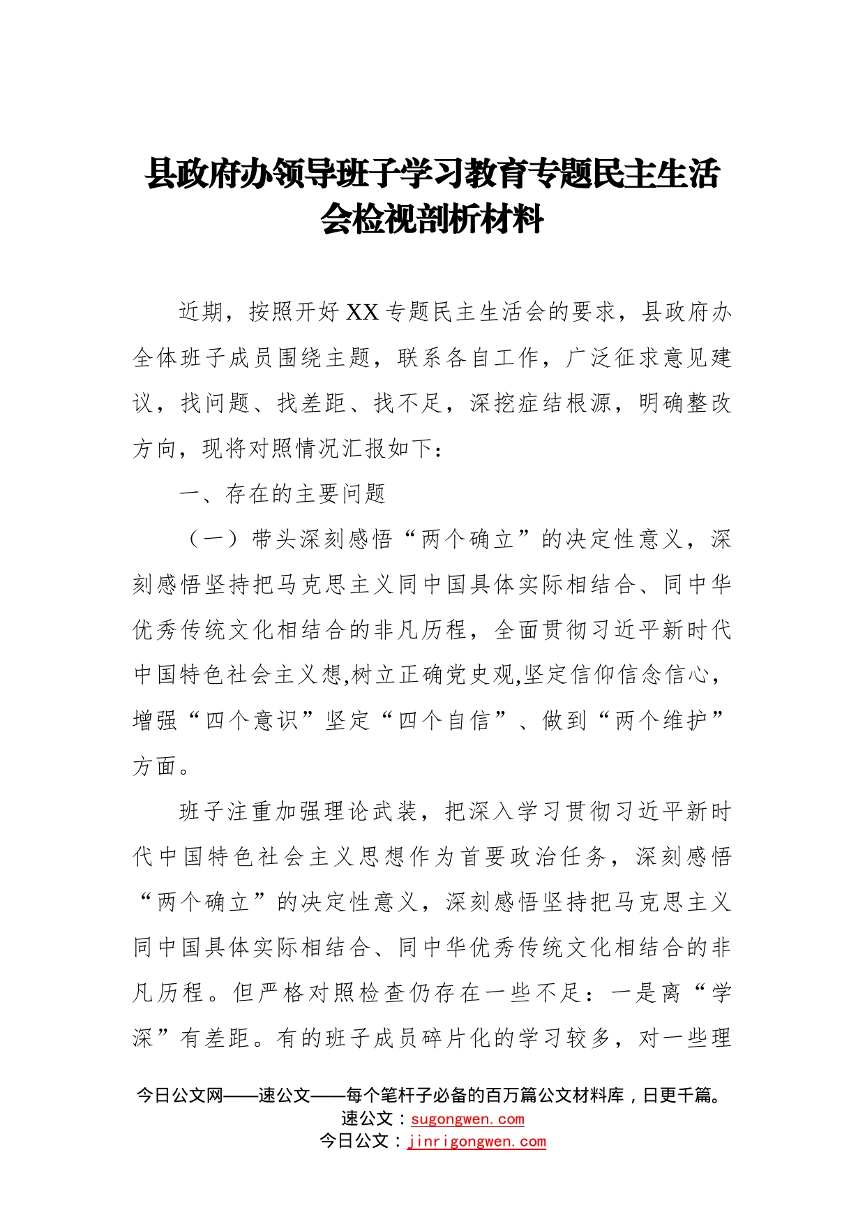 县政府办领导班子学习教育专题民主生活会检视剖析材料_第1页