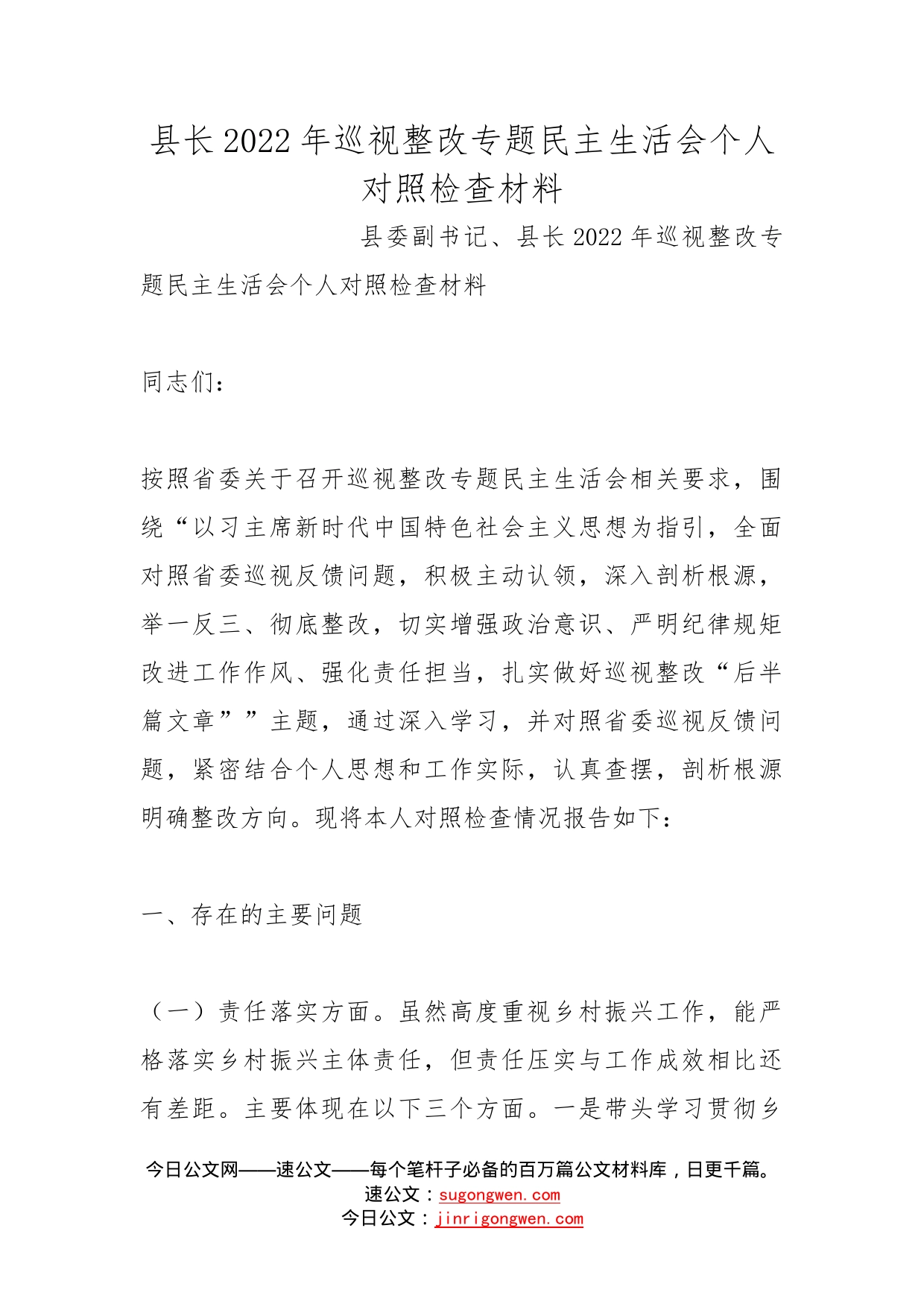 县长2022年巡视整改专题民主生活会个人对照检查材料_第1页