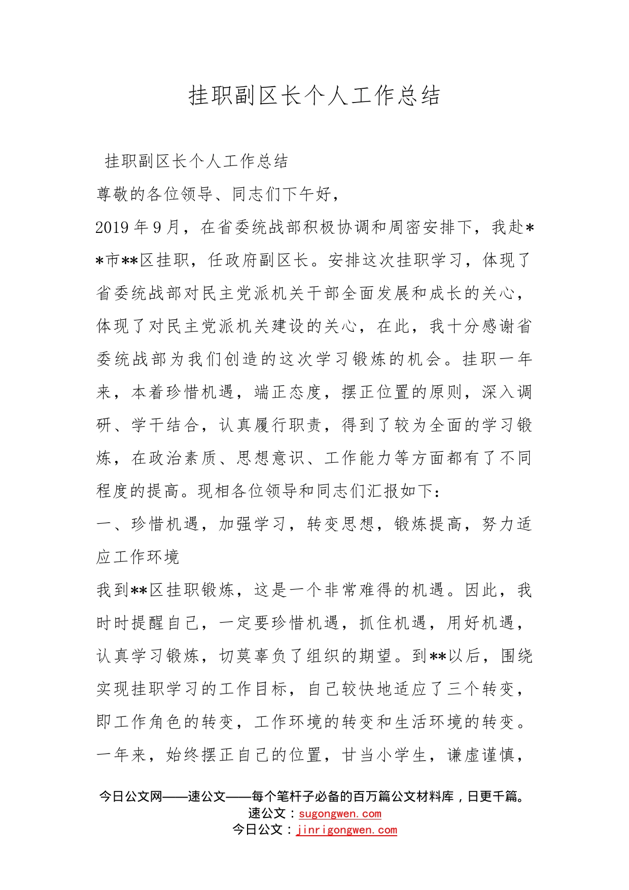 挂职副区长个人工作总结_第1页