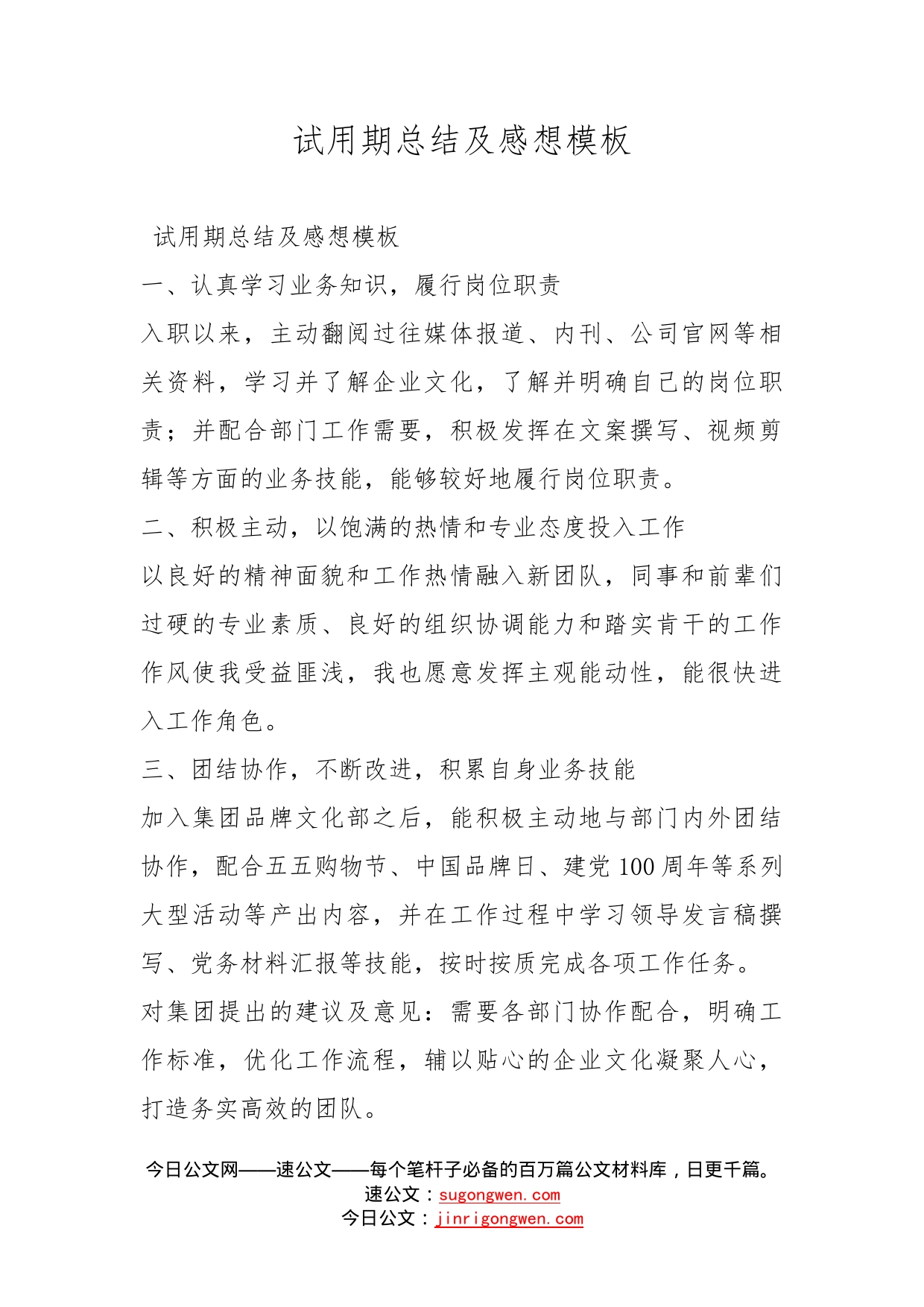 试用期总结及感想模板_第1页