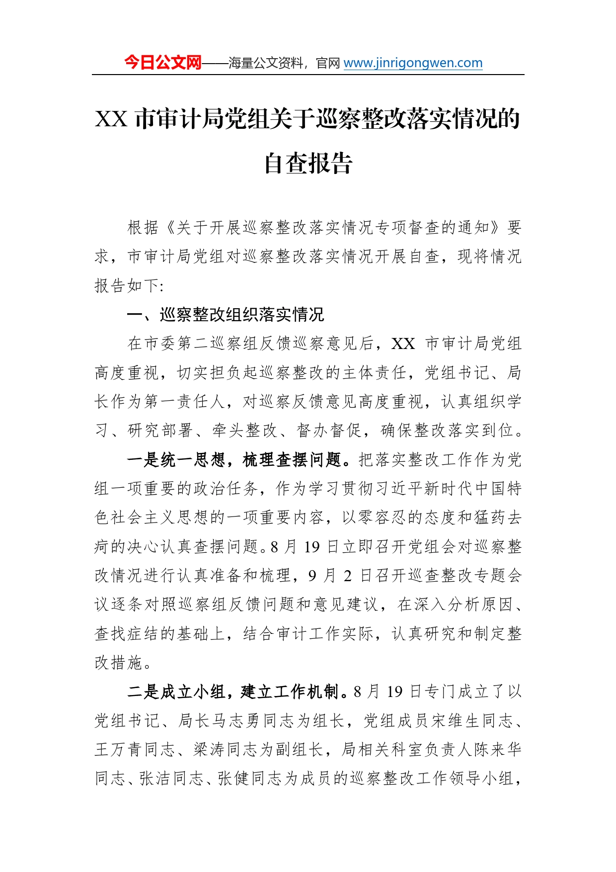 市审计局党组关于巡察整改落实情况的自查报告_第1页