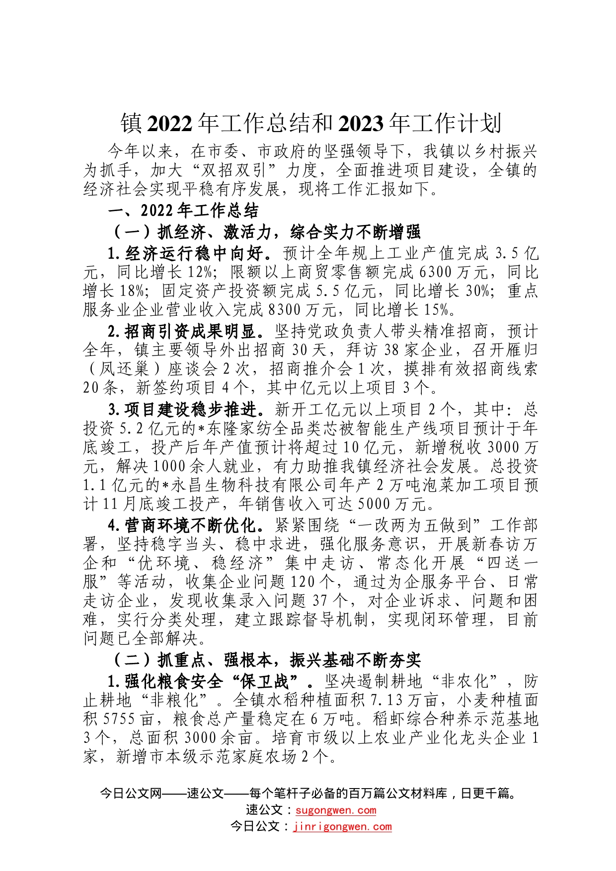 镇2022年工作总结和2023年工作计划10_第1页