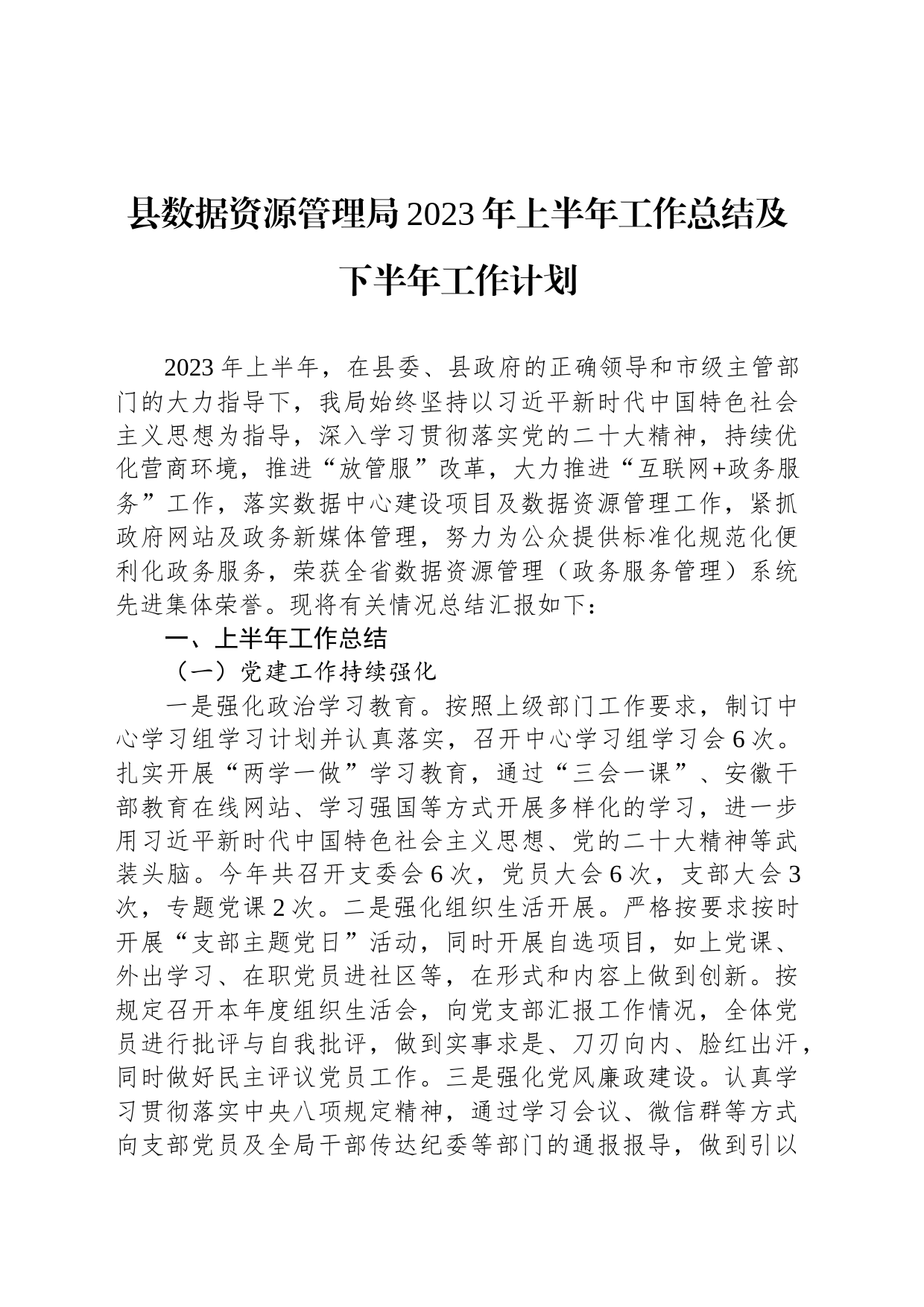 县数据资源管理局2023年上半年工作总结及下半年工作计划（20230621）_第1页