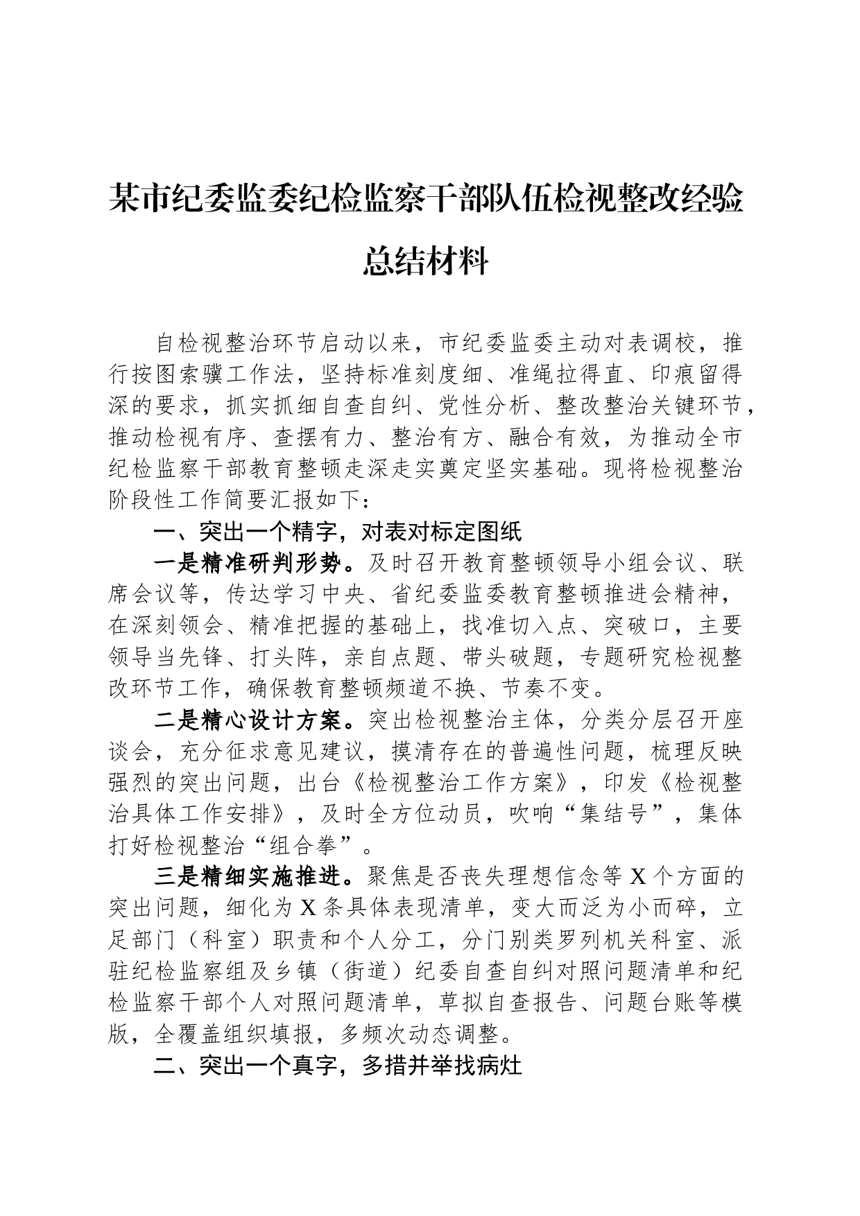 某市纪委监委纪检监察干部队伍检视整改经验总结材料_第1页