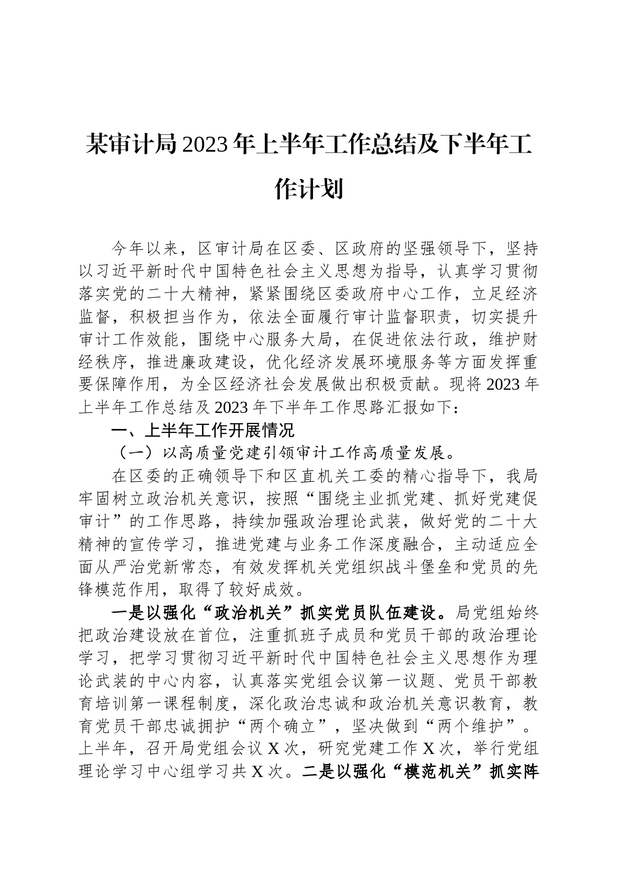 某审计局2023年上半年工作总结及下半年工作计划_第1页