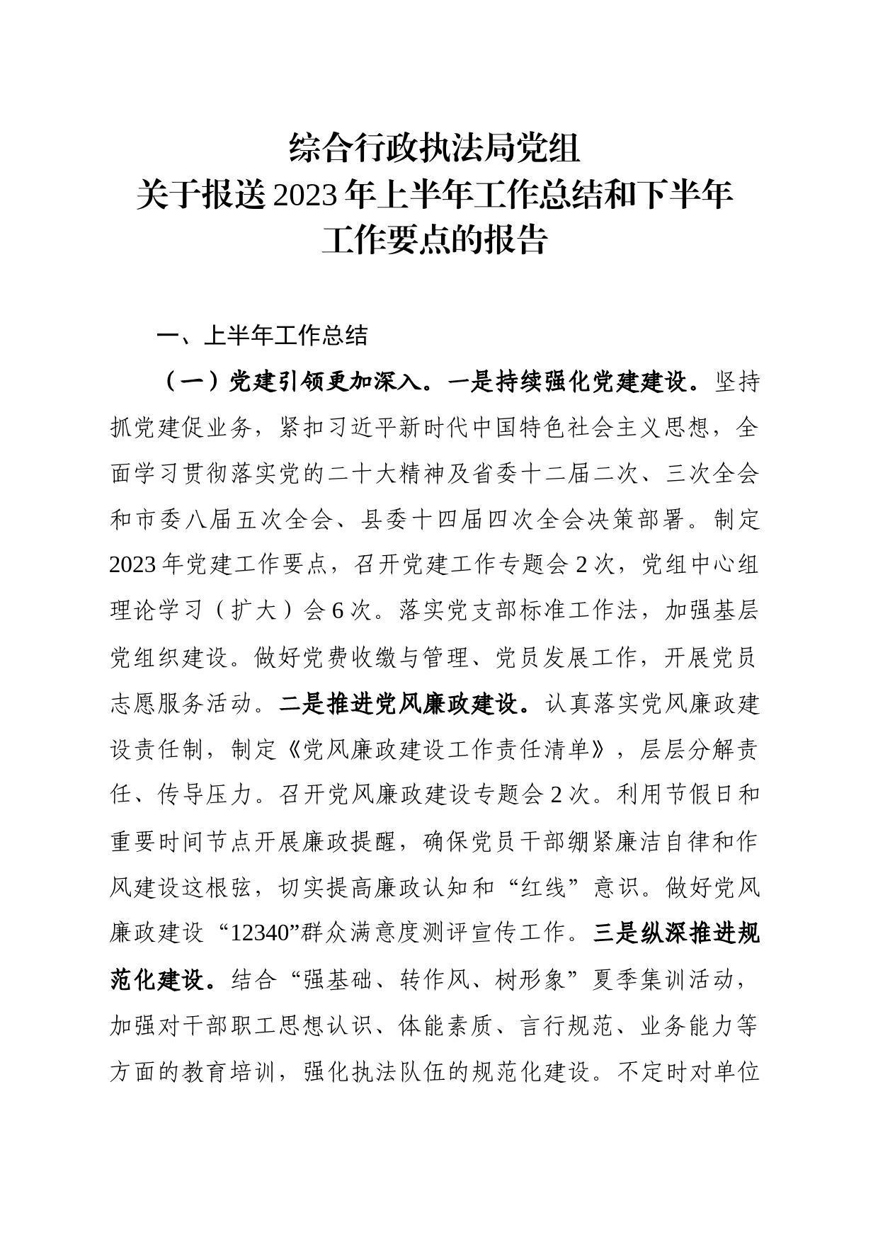 综合行政执法局党组半年总结和下半年计划_第1页