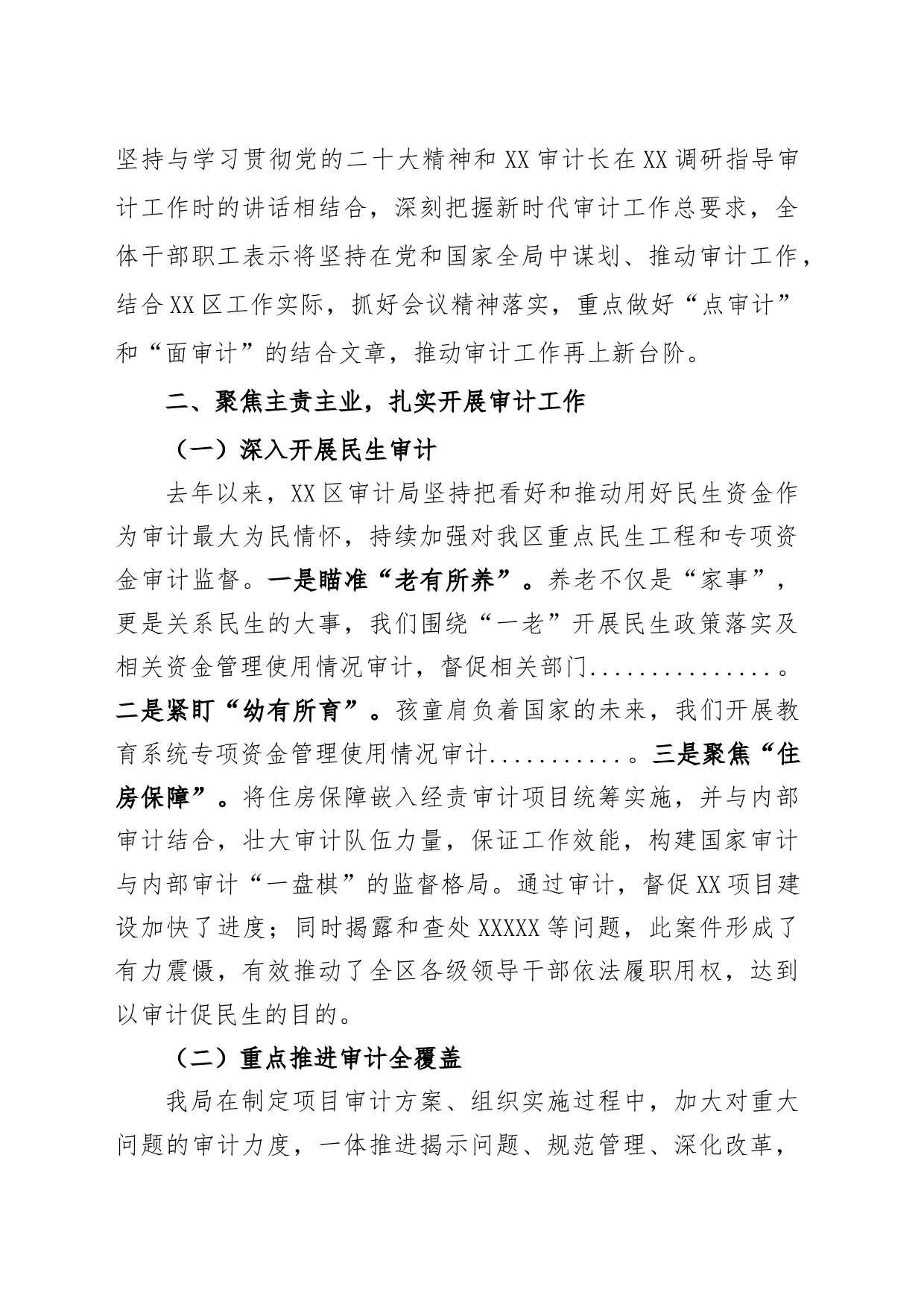 XX审计局在上级领导调研座谈会上的汇报稿_第2页