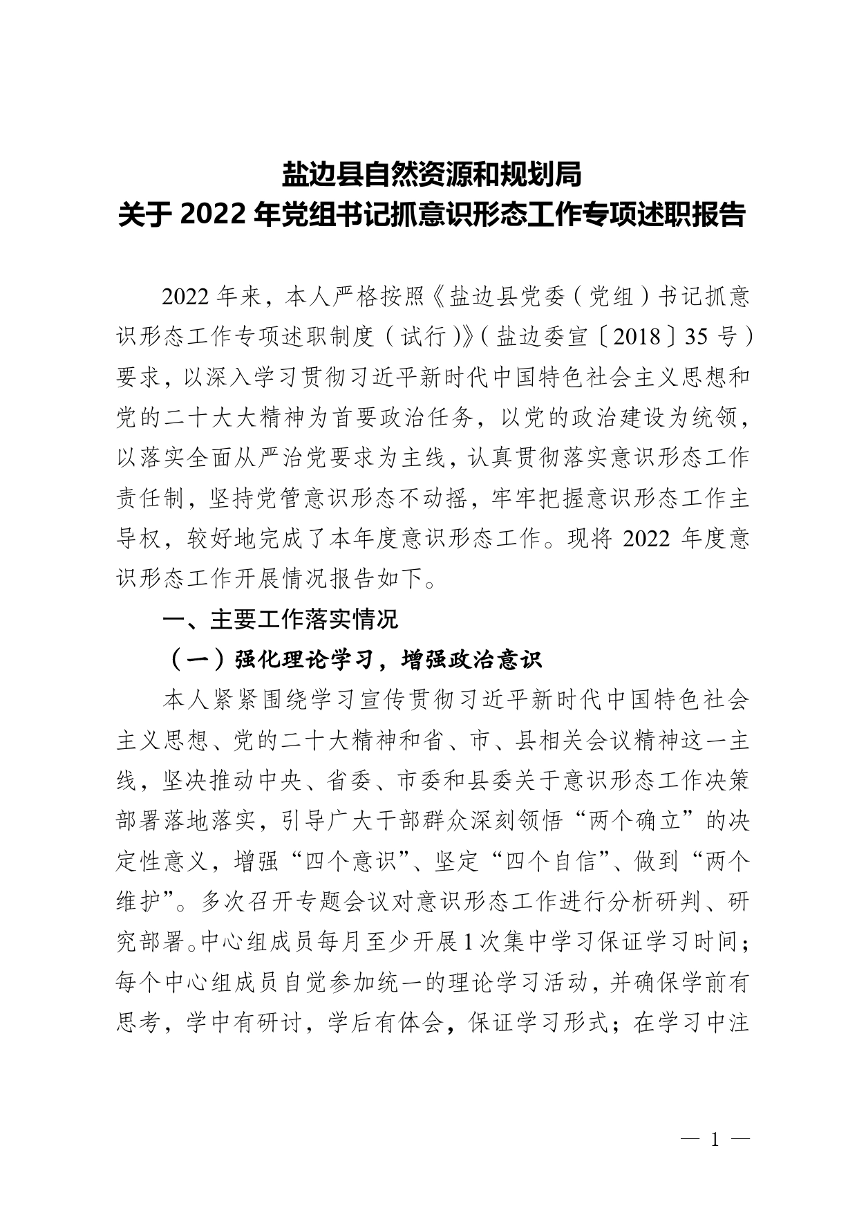 盐边县自然资源和规划局关于2022年度落实意识形态主体责任制述职报告30_第1页