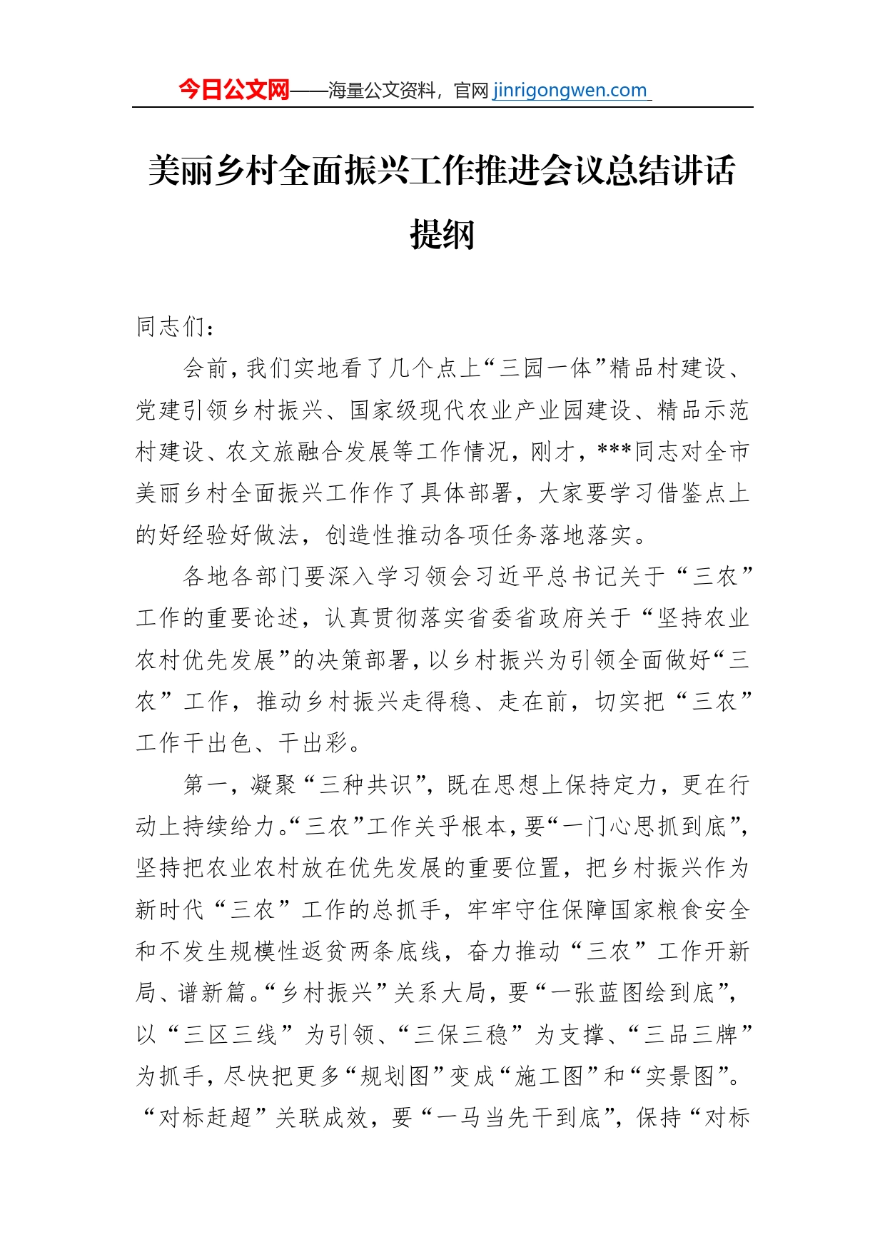 美丽乡村全面振兴工作推进会议总结讲话提纲_第1页