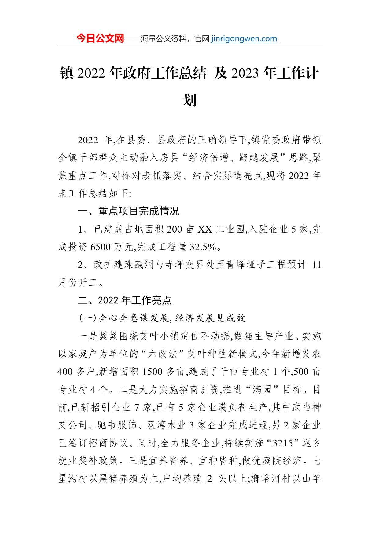 镇2022年政府工作总结及2023年工作计划_第1页