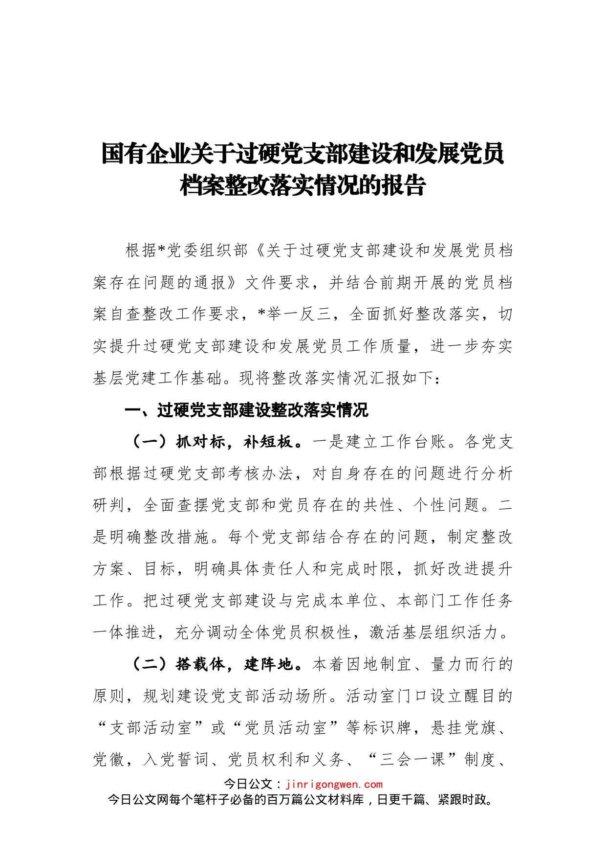 国有企业关于过硬党支部建设和发展党员档案整改落实情况的报告(1)_第1页