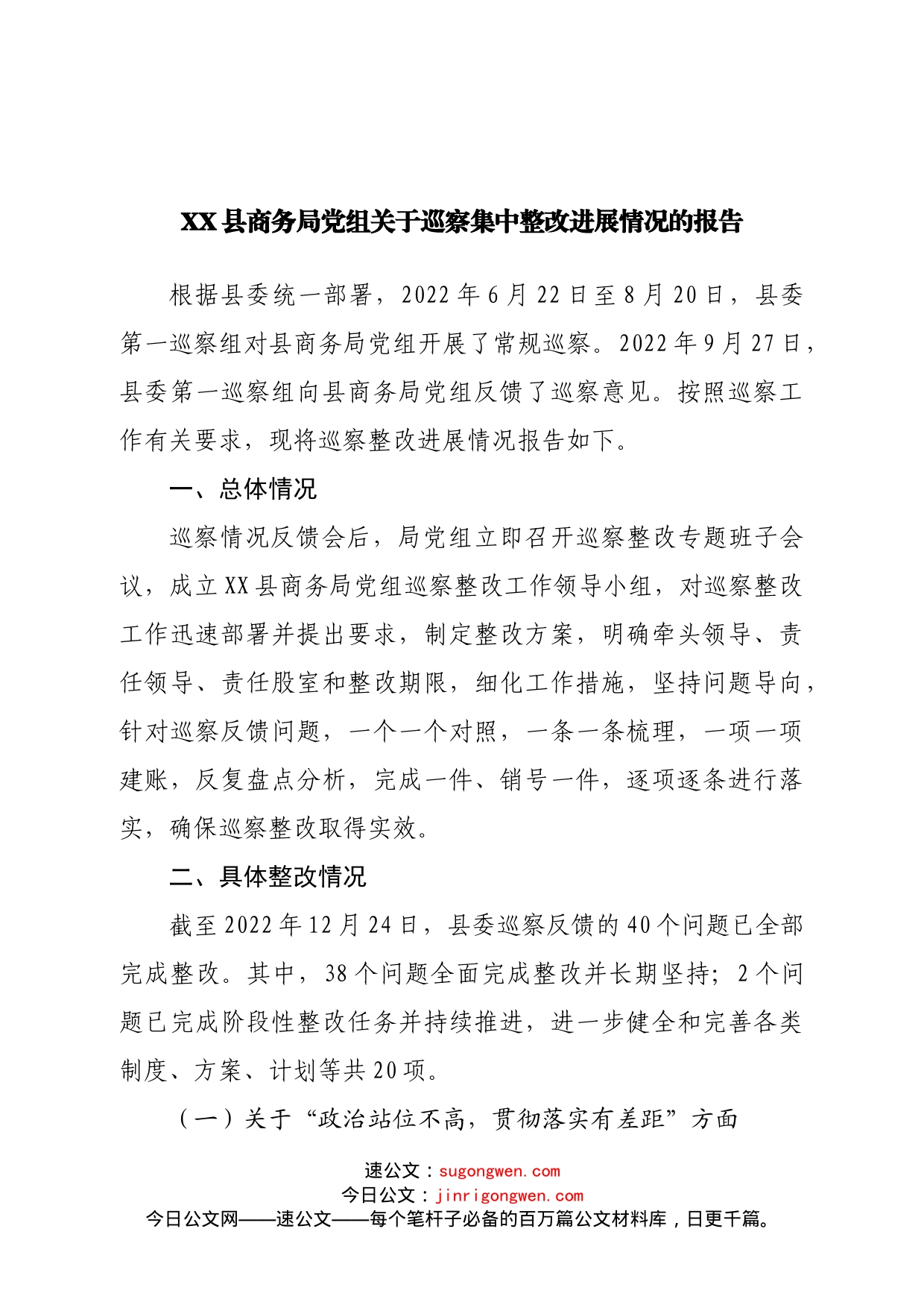 局党组关于巡察集中整改进展情况的报告范文_第1页