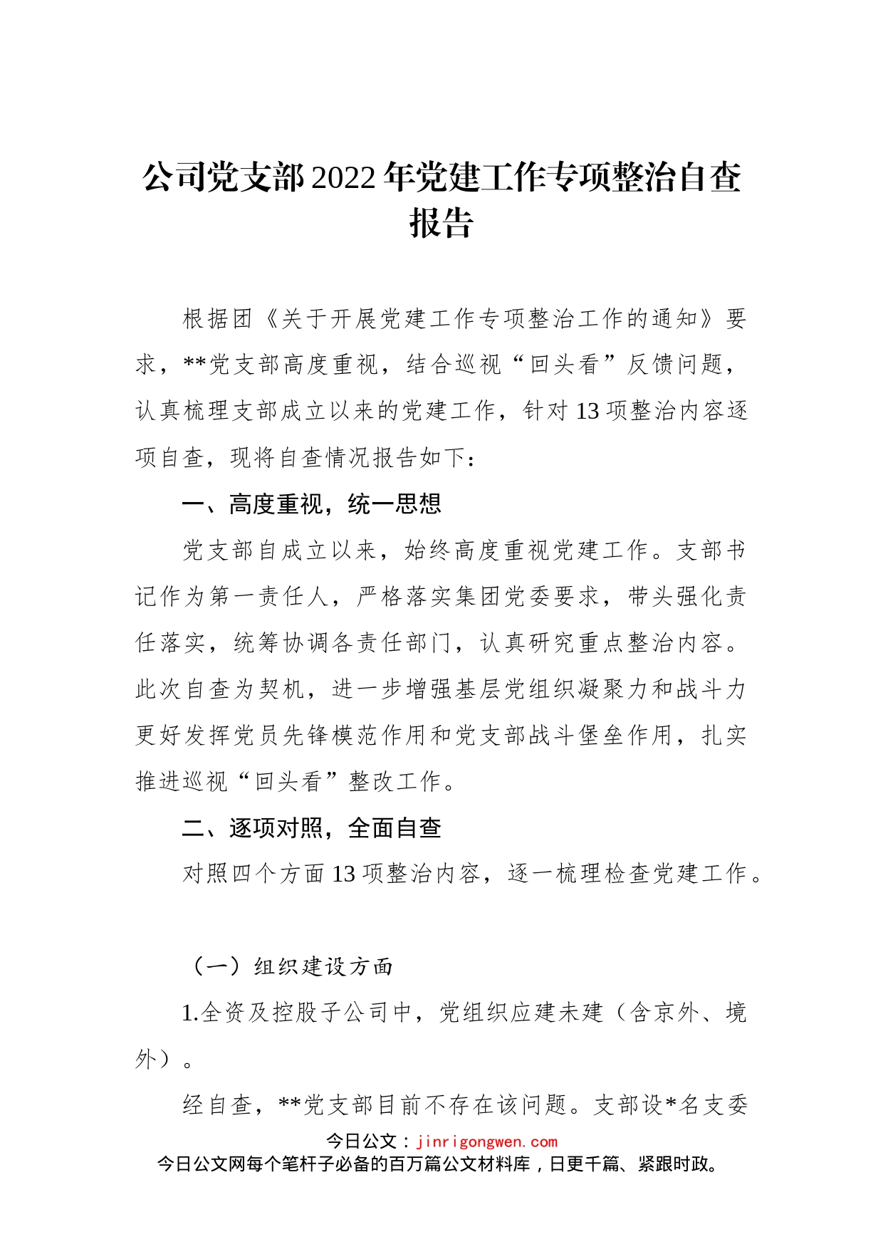 公司党支部2022年党建工作专项整治自查报告(1)_第1页