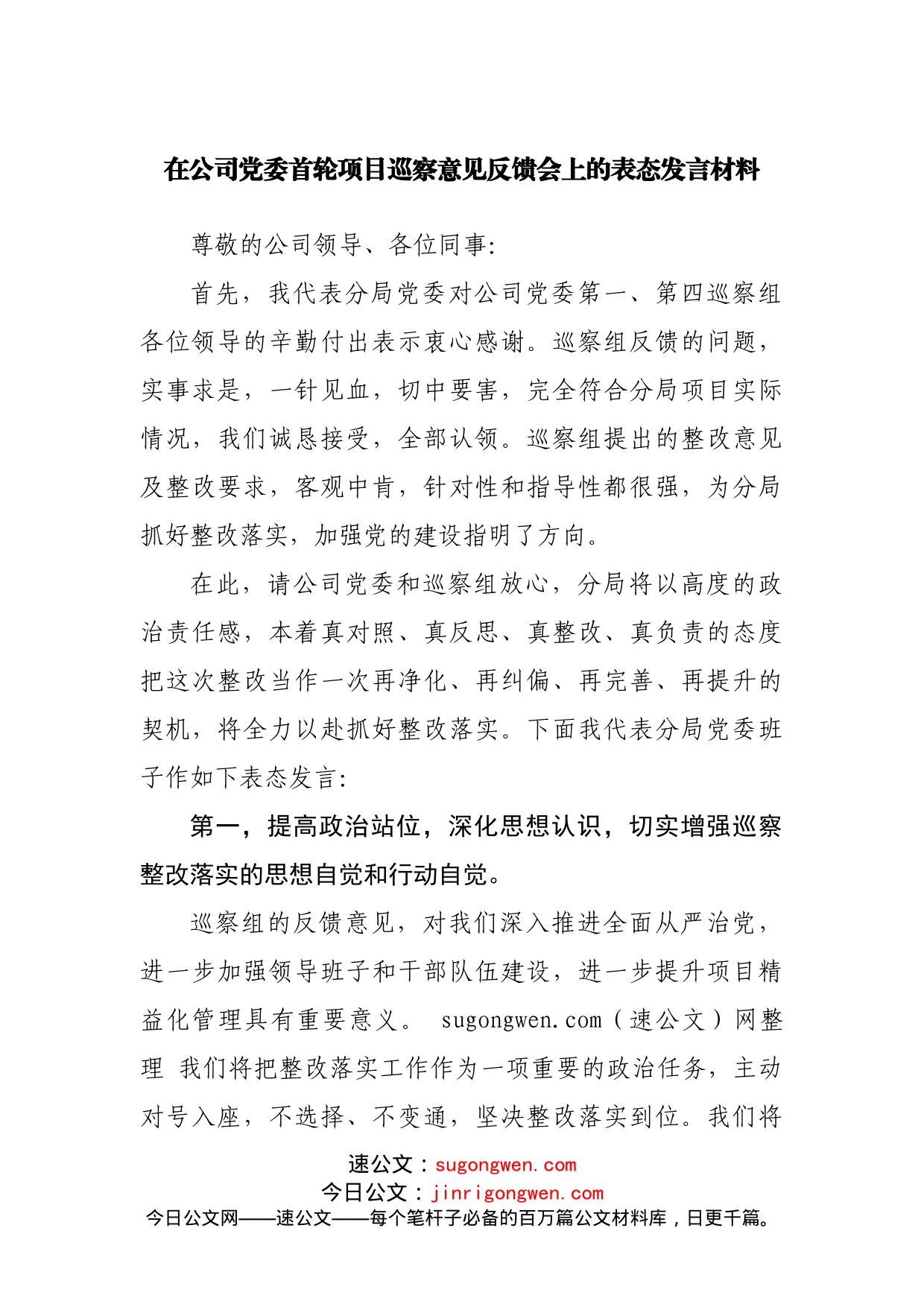 公司在巡察意见反馈会上的表态发言材料_第1页