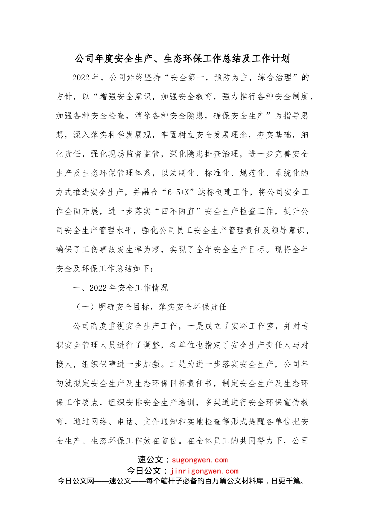 公司年度安全生产、生态环保工作总结及工作计划_第1页