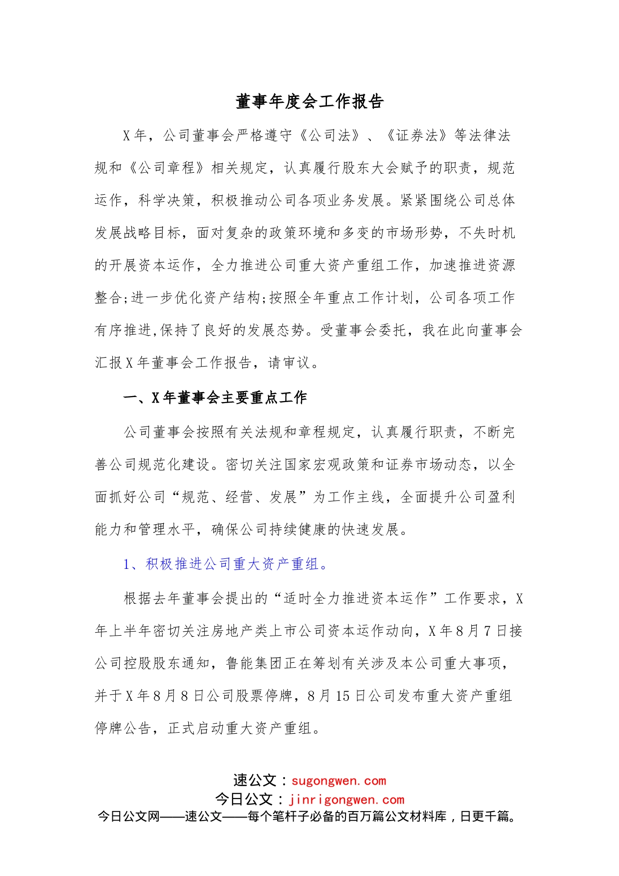 董事年度会工作报告_第1页