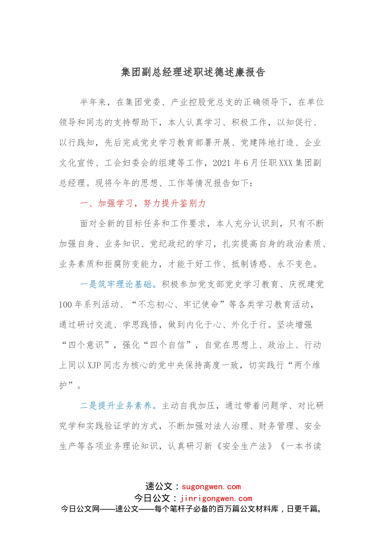 集团副总经理述职述德述廉报告_第1页