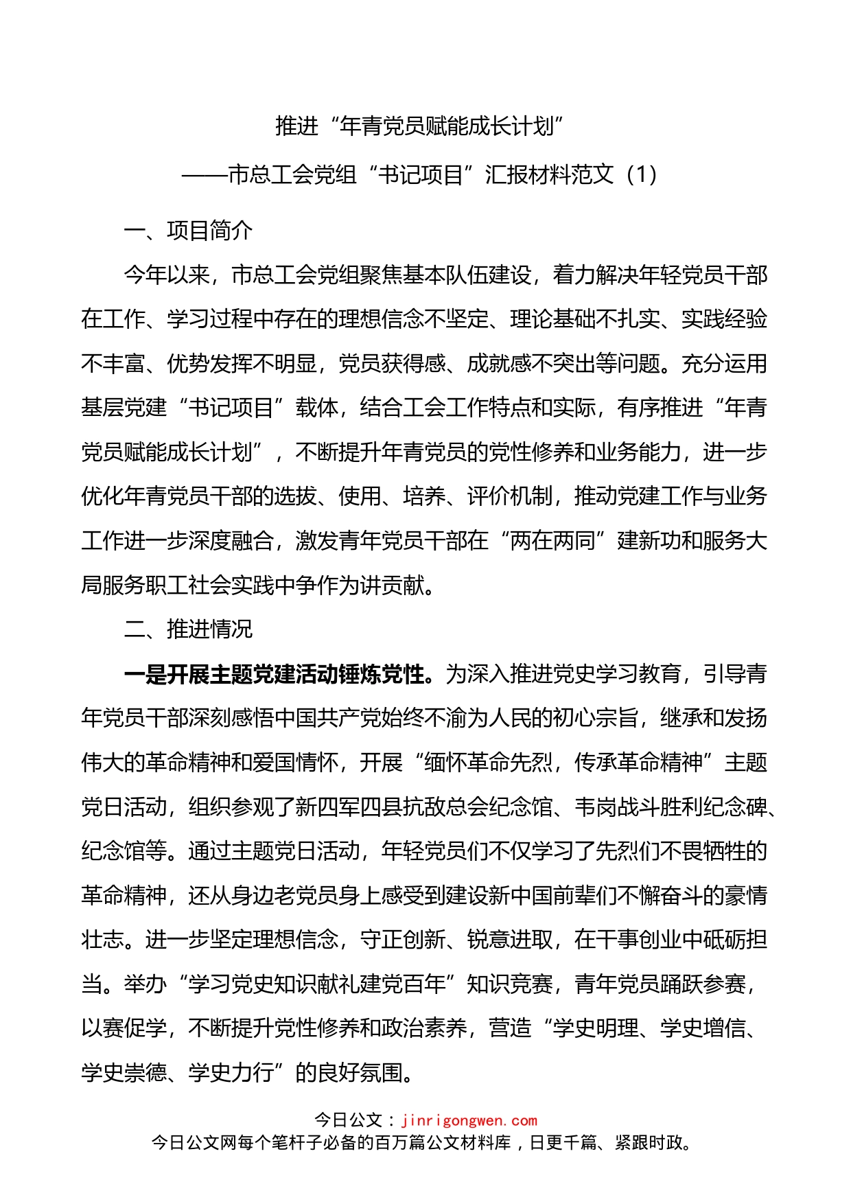 书记项目工作总结2篇_第1页