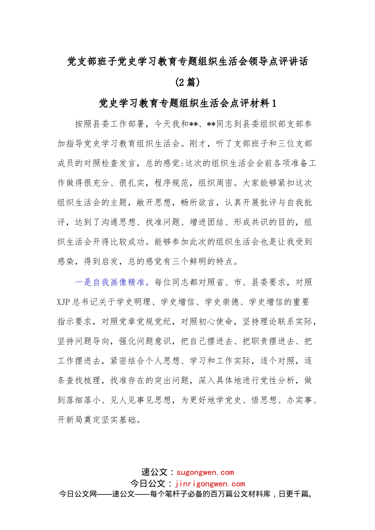 （2篇）党支部班子学习教育专题组织生活会领导点评讲话_第1页