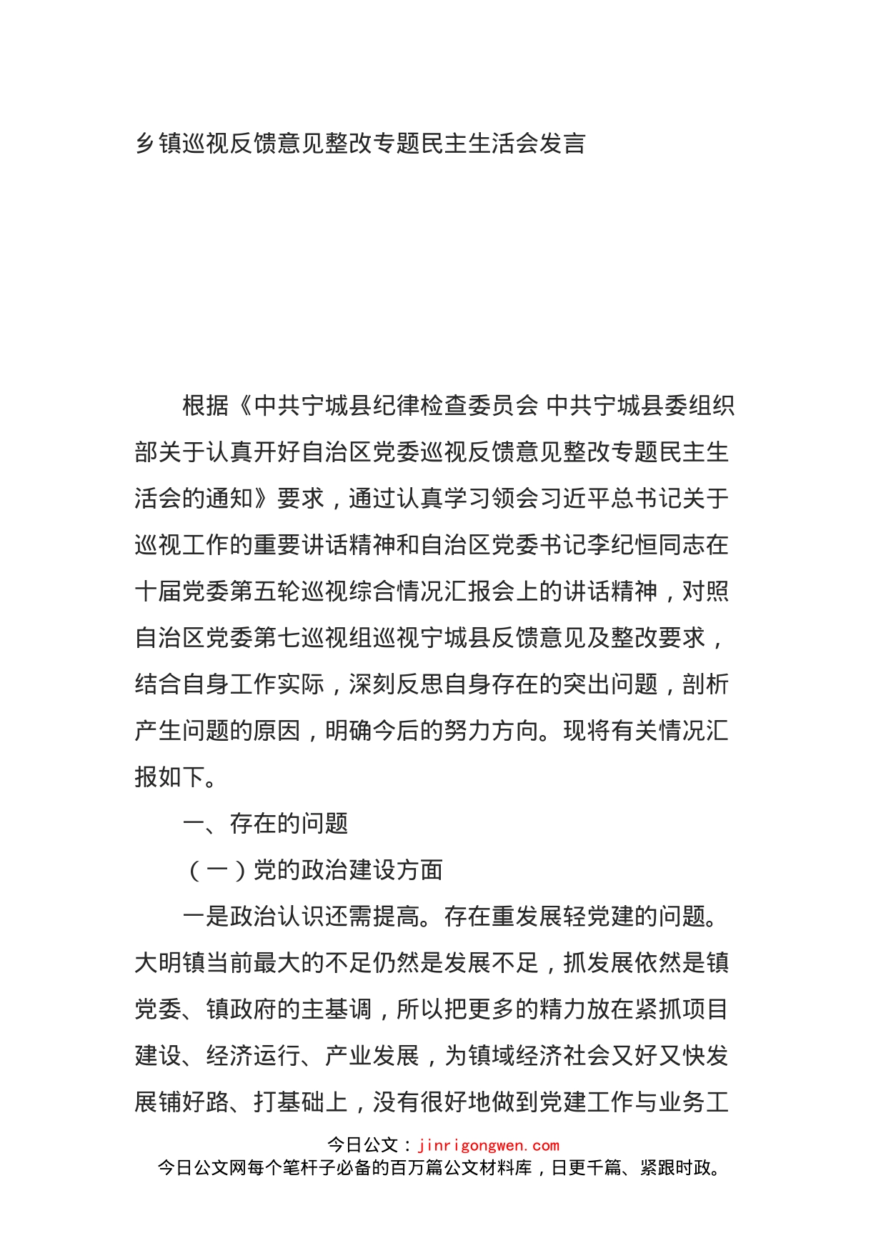 乡镇巡视反馈意见整改专题民主生活会发言_第1页