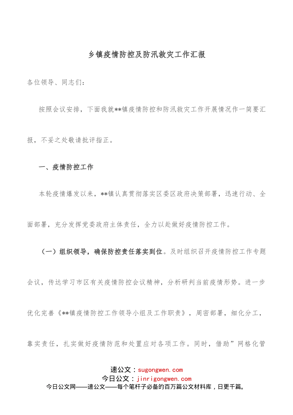 乡镇疫情防控及防汛救灾工作汇报_第1页