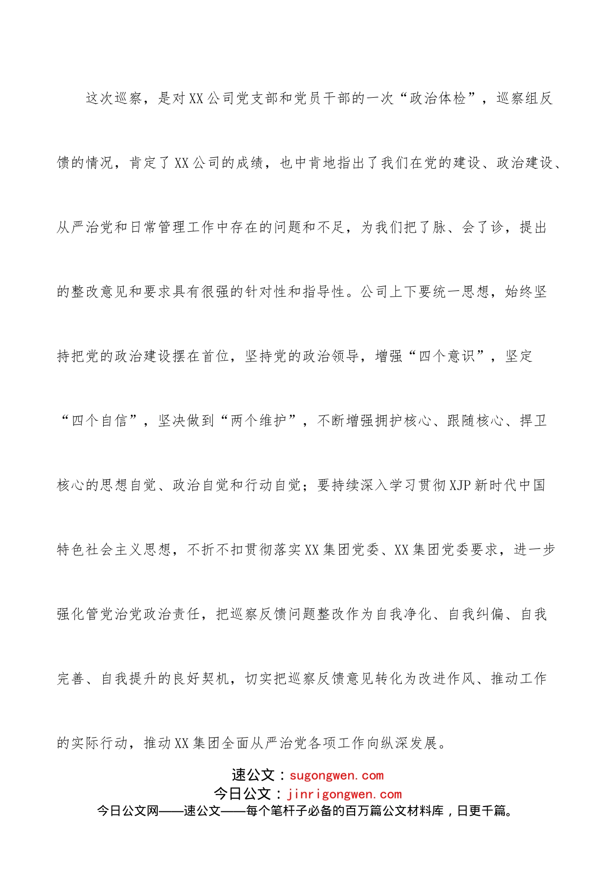 在公司巡察反馈会上的表态发言提纲_第2页