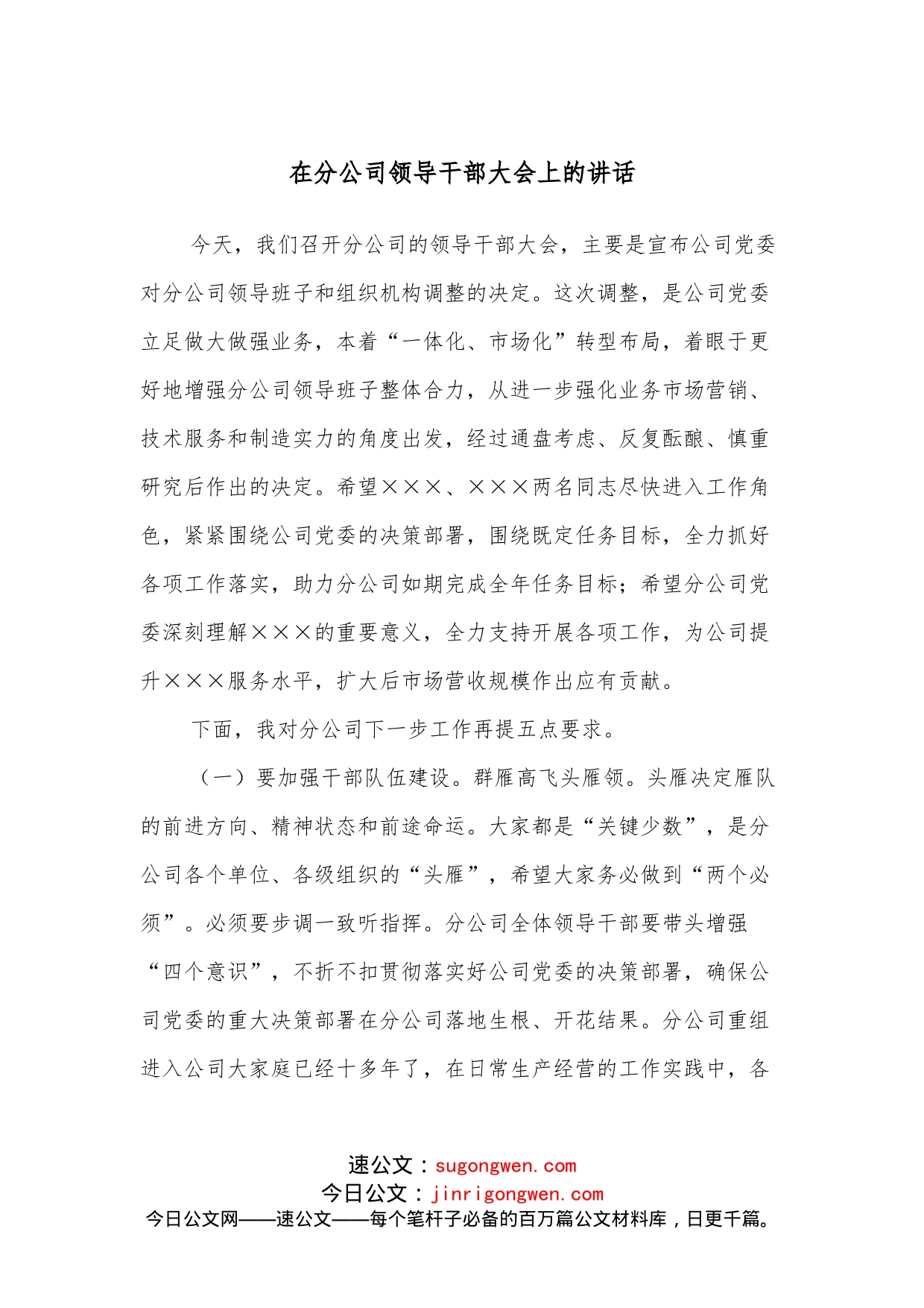 在分公司领导干部大会上的讲话_第1页