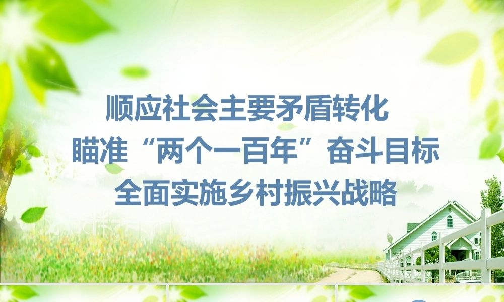 王忠海：顺应社会主要矛盾转化瞄准“两个一百年”奋斗目标全面实施乡村振兴战略PPT课件模板