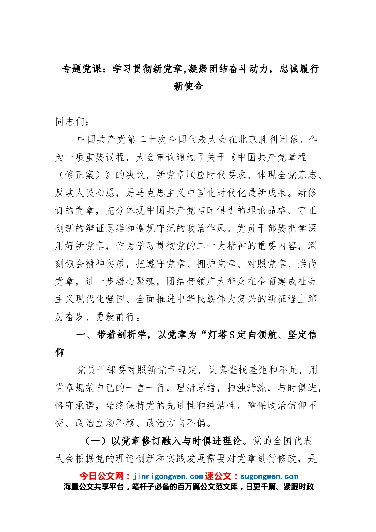 党课：学习贯彻新党章 凝聚团结奋斗动力 忠诚履行新使命_第1页