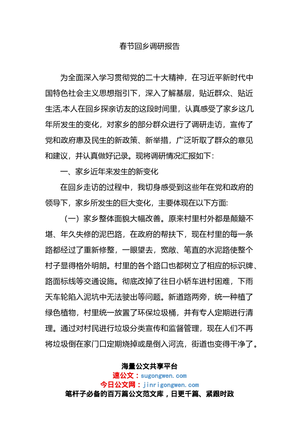 春节回乡调研报告_第1页