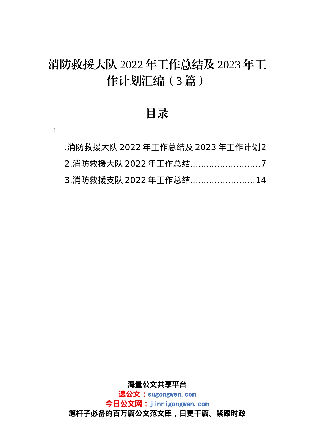 消防救援大队2022年工作总结及2023年工作计划汇编（3篇）_第1页