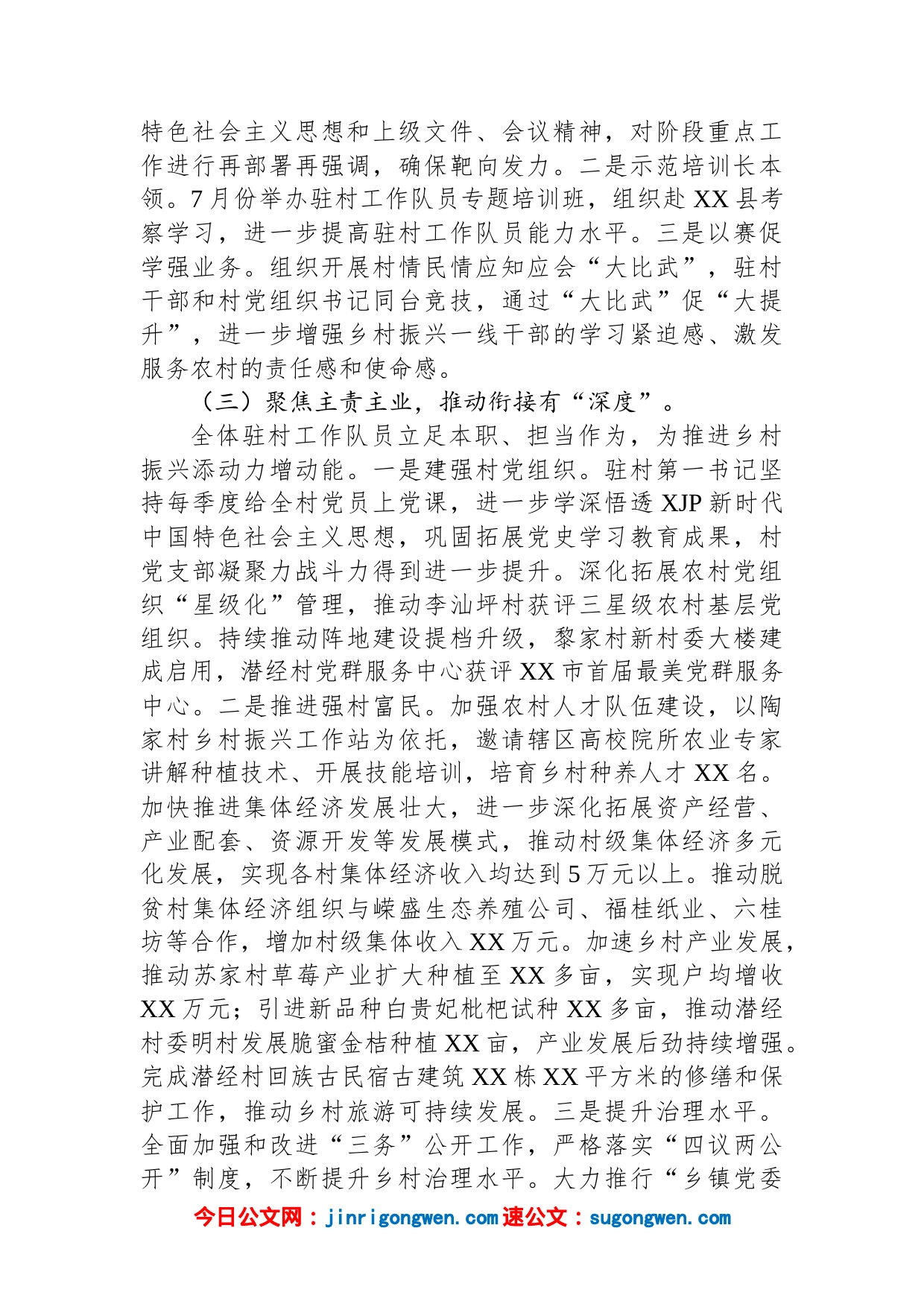 驻村工作队2022年度工作述职报告_第2页
