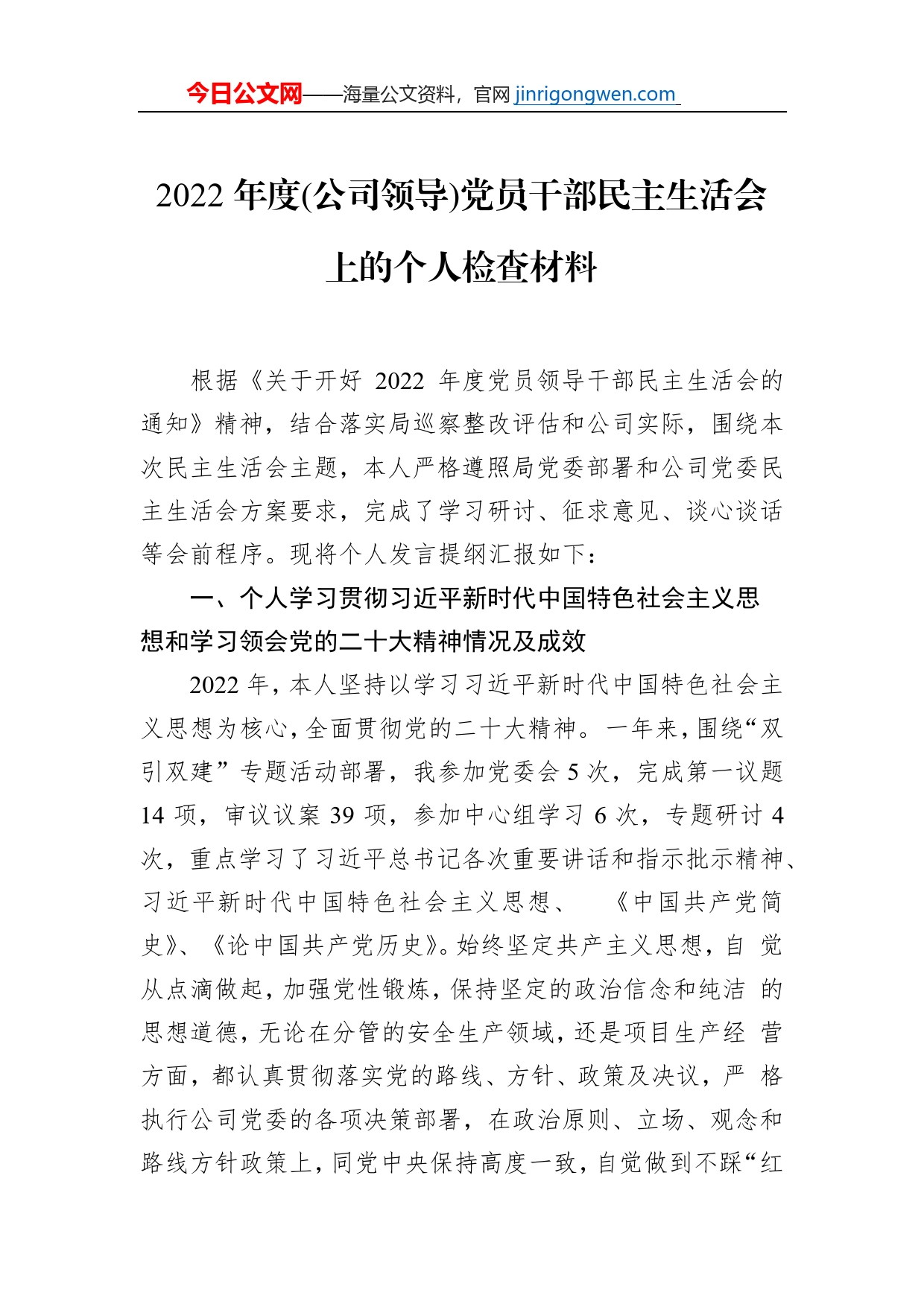 2022年度(公司领导)党员干部民主生活会上的个人检查材料_第1页