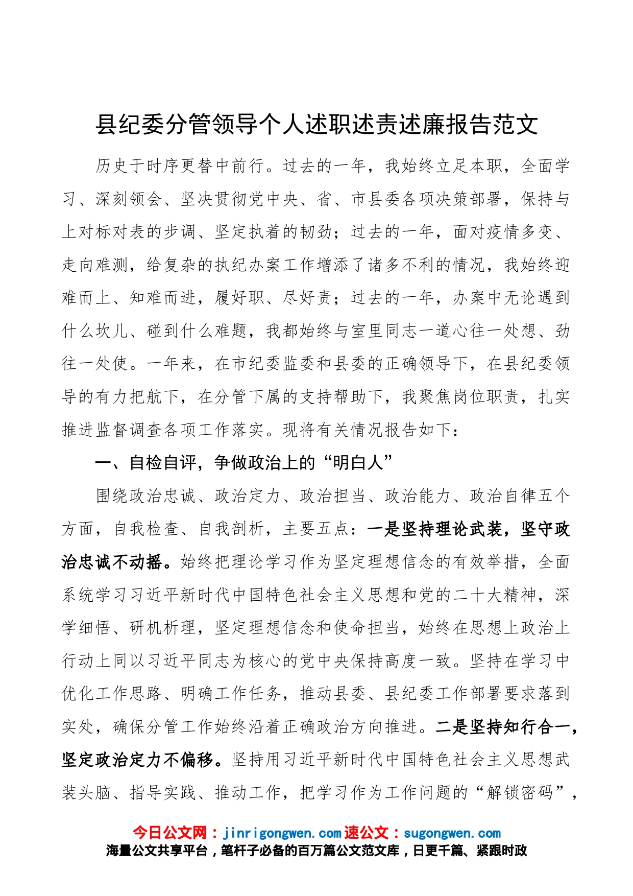 县纪委分管领导个人述职述责述廉报告（纪委监委，班子成员，个人工作总结汇报）_第1页