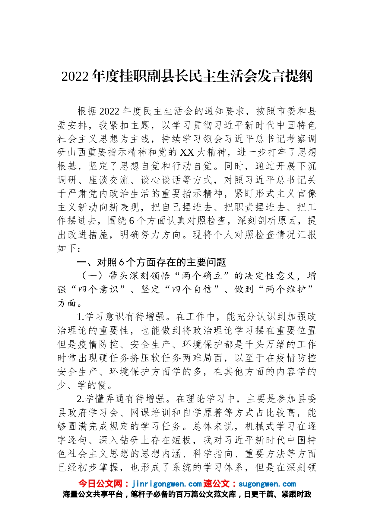 2022年度挂职副县长民主生活会发言提纲_第1页