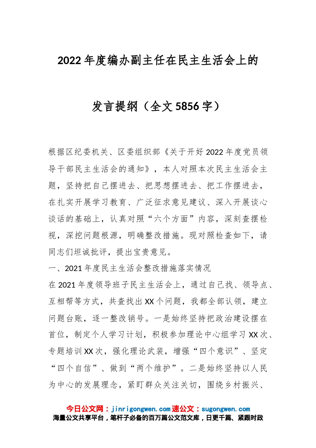 2022年度编办副主任在民主生活会上的发言提纲（全文5856字）_第1页