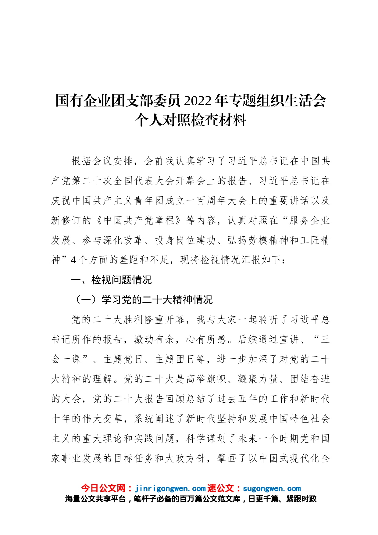 国有企业团支部委员2022年专题组织生活会个人对照检查材料_第1页