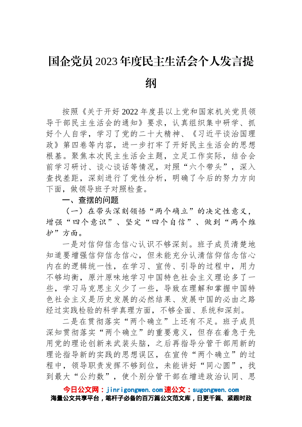 国企党员2023年度民主生活会个人发言提纲_第1页