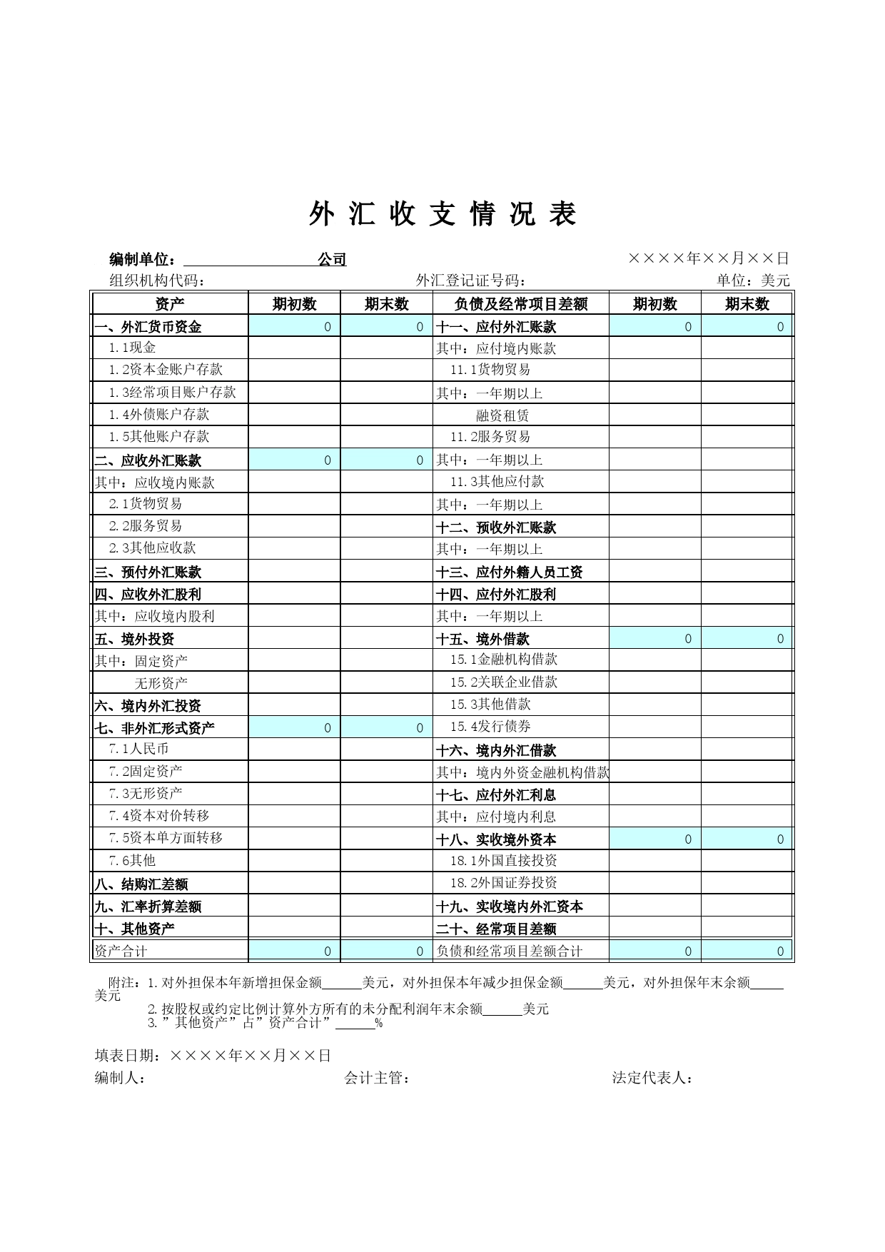 外汇收支情况表Excel表格模板_第1页