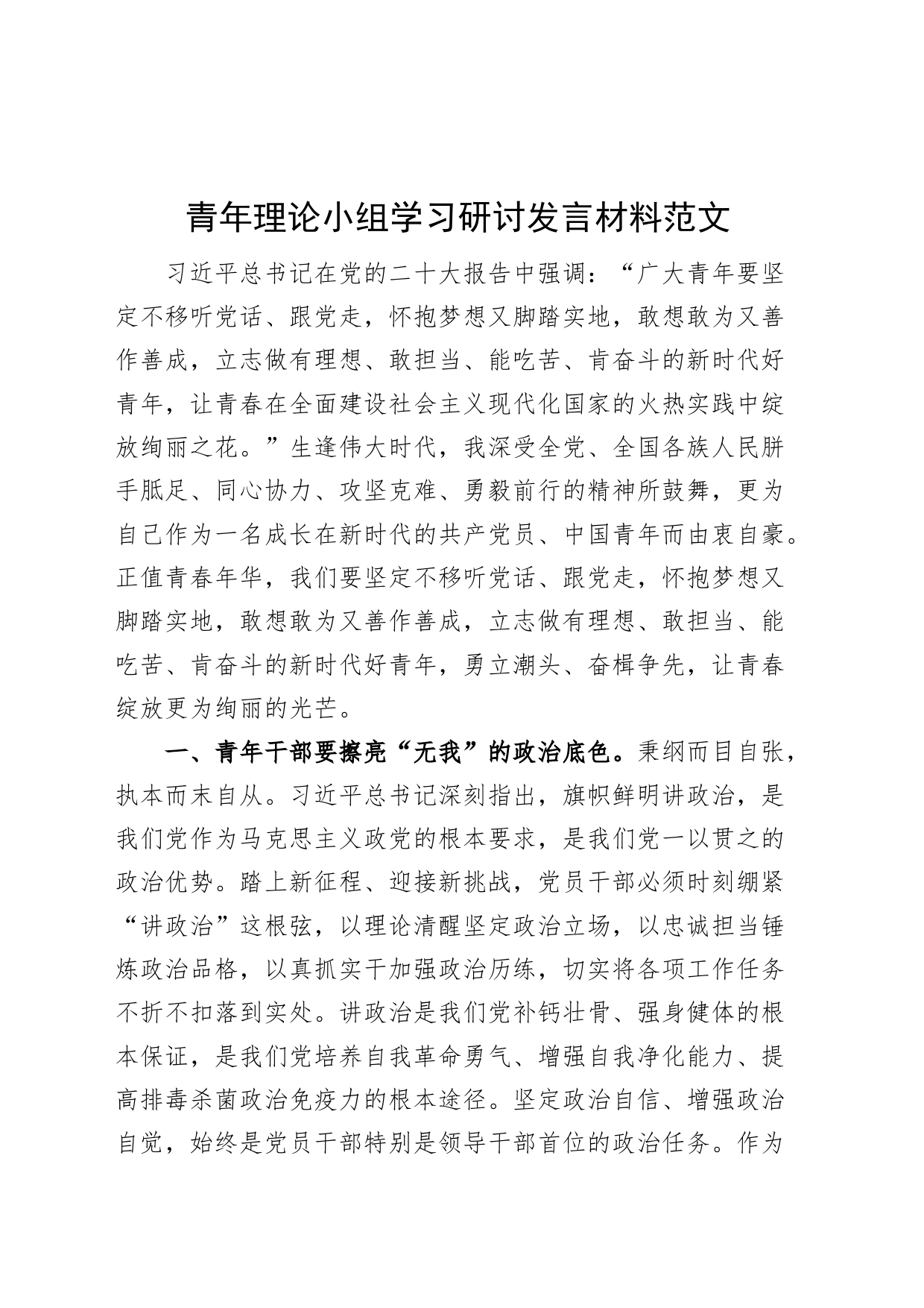 青年理论小组学习研讨发言材料x大盛会精神心得体会_第1页
