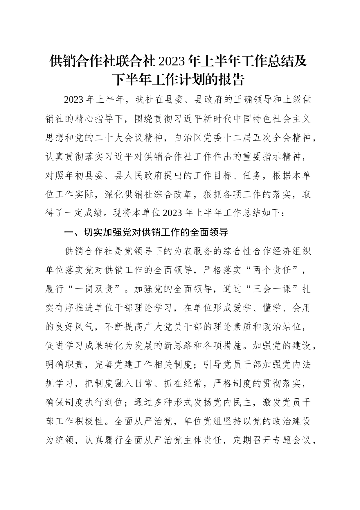 供销社2023年上半年工作总结及下半年工作计划（3篇）_第2页