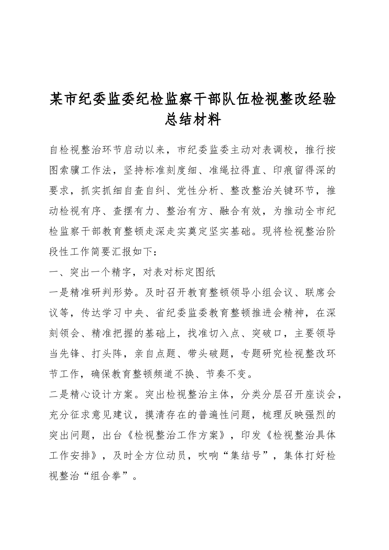 某市纪委监委纪检监察干部队伍检视整改经验总结材料_第1页