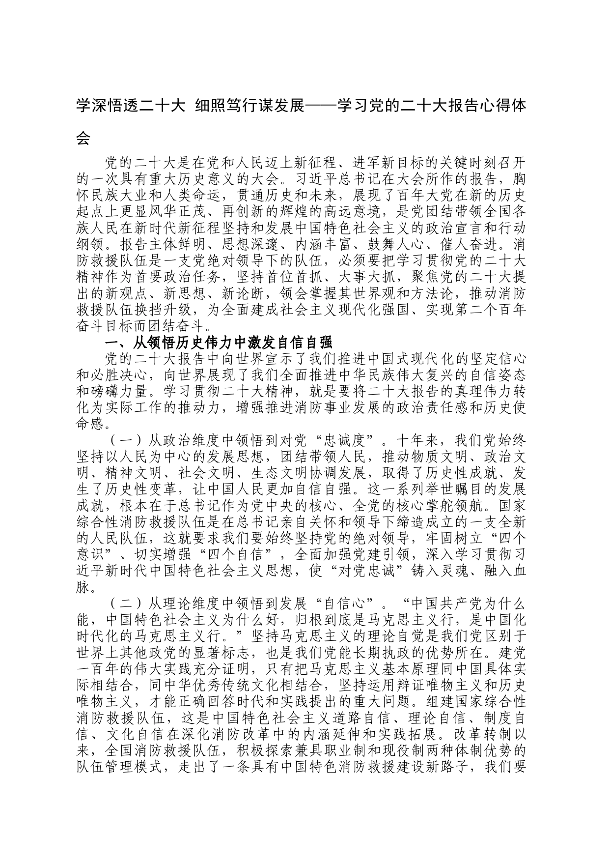 消防救援队伍学习党的二十大报告心得体会_第1页