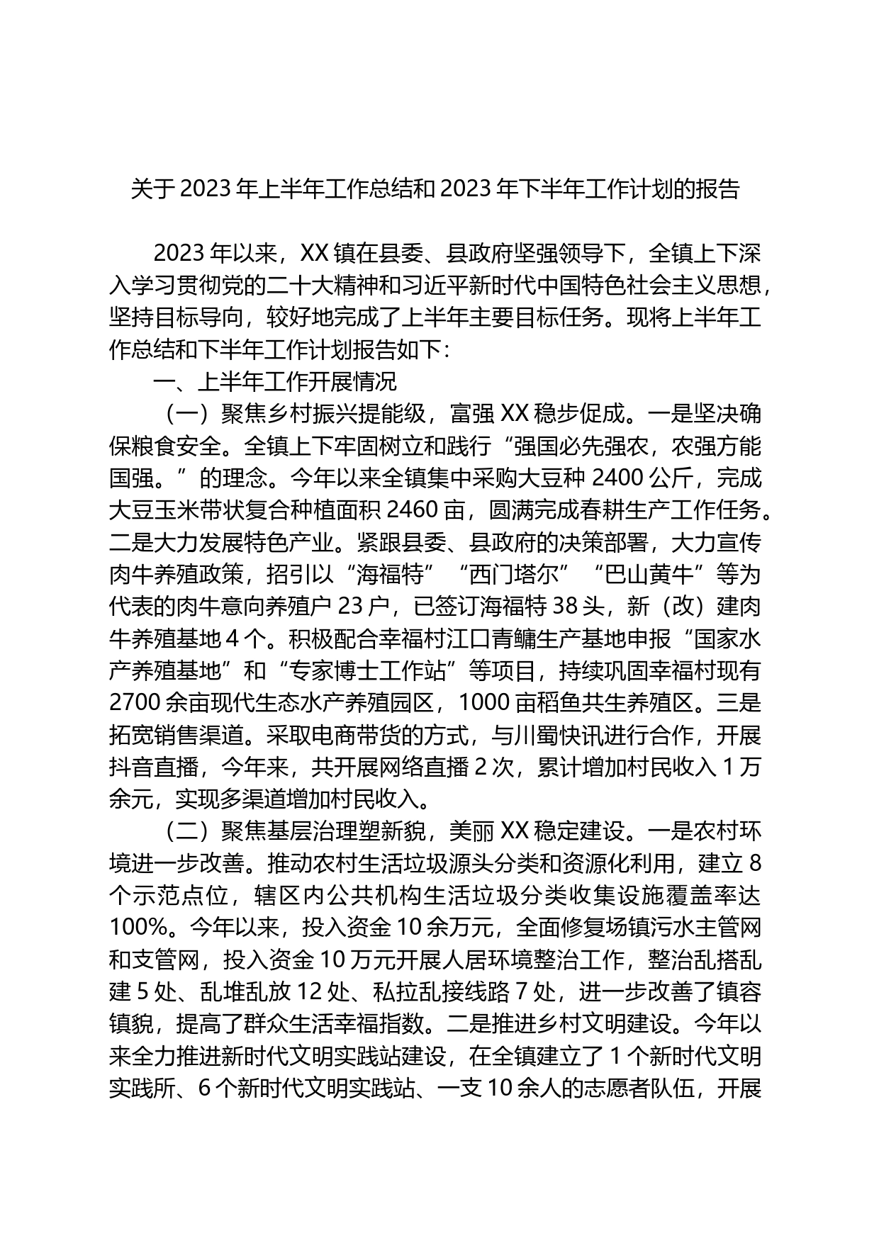 关于2023年上半年工作总结和2023年下半年工作计划的报告_第1页