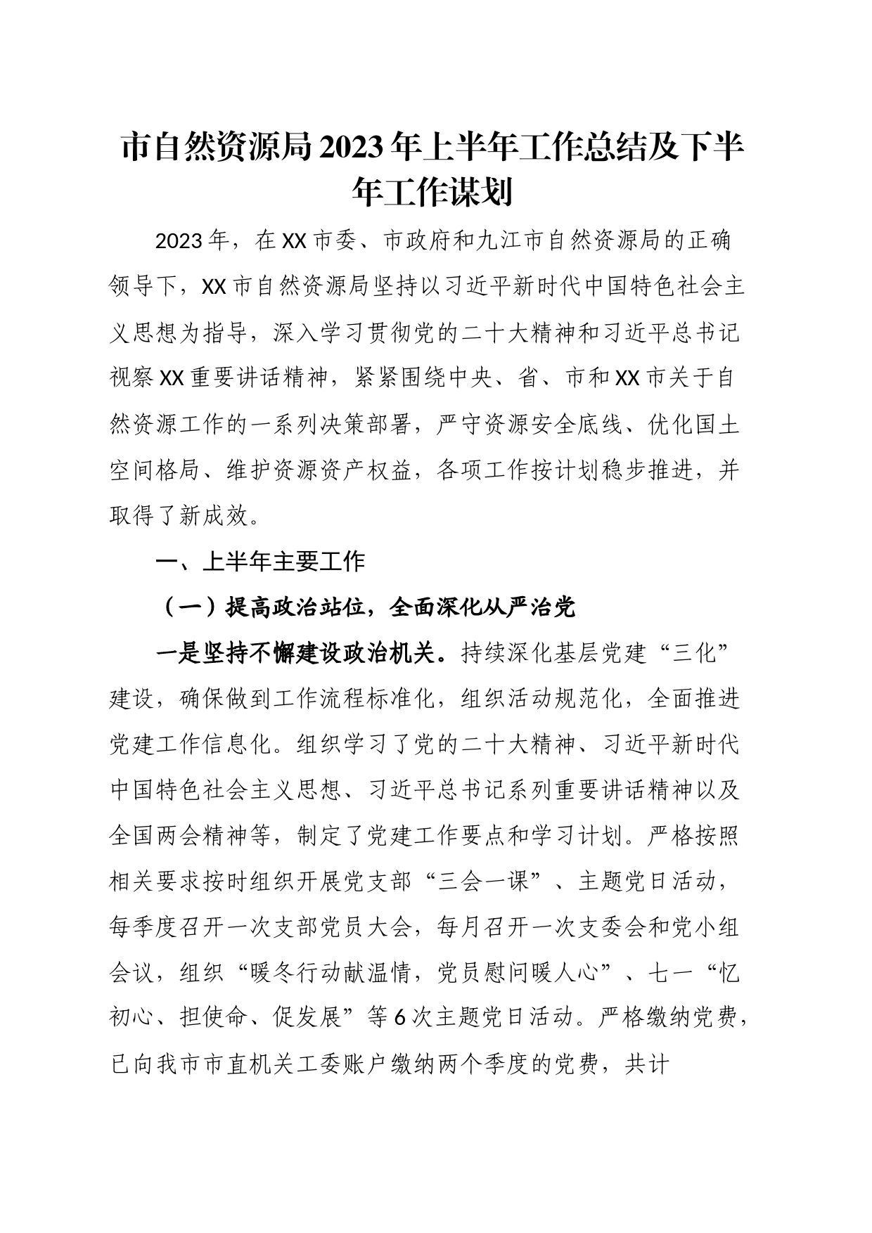 市自然资源局2023年上半年工作总结及下半年工作谋划_第1页