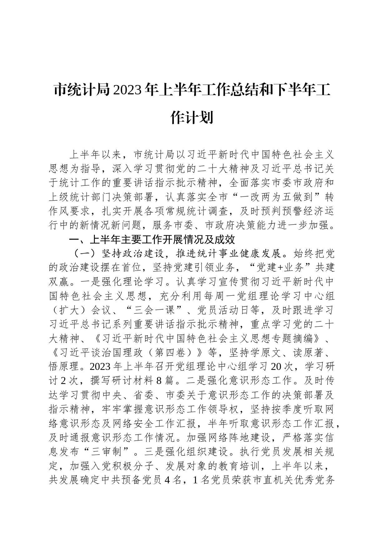 市统计局2023年上半年工作总结和下半年工作计划（20230710）_第1页